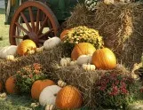5 Volksfeste, die Sie im Herbst nicht verpassen d&uuml;rfen